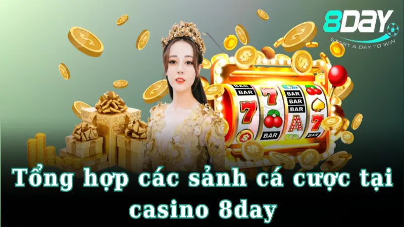 casino-8day-5